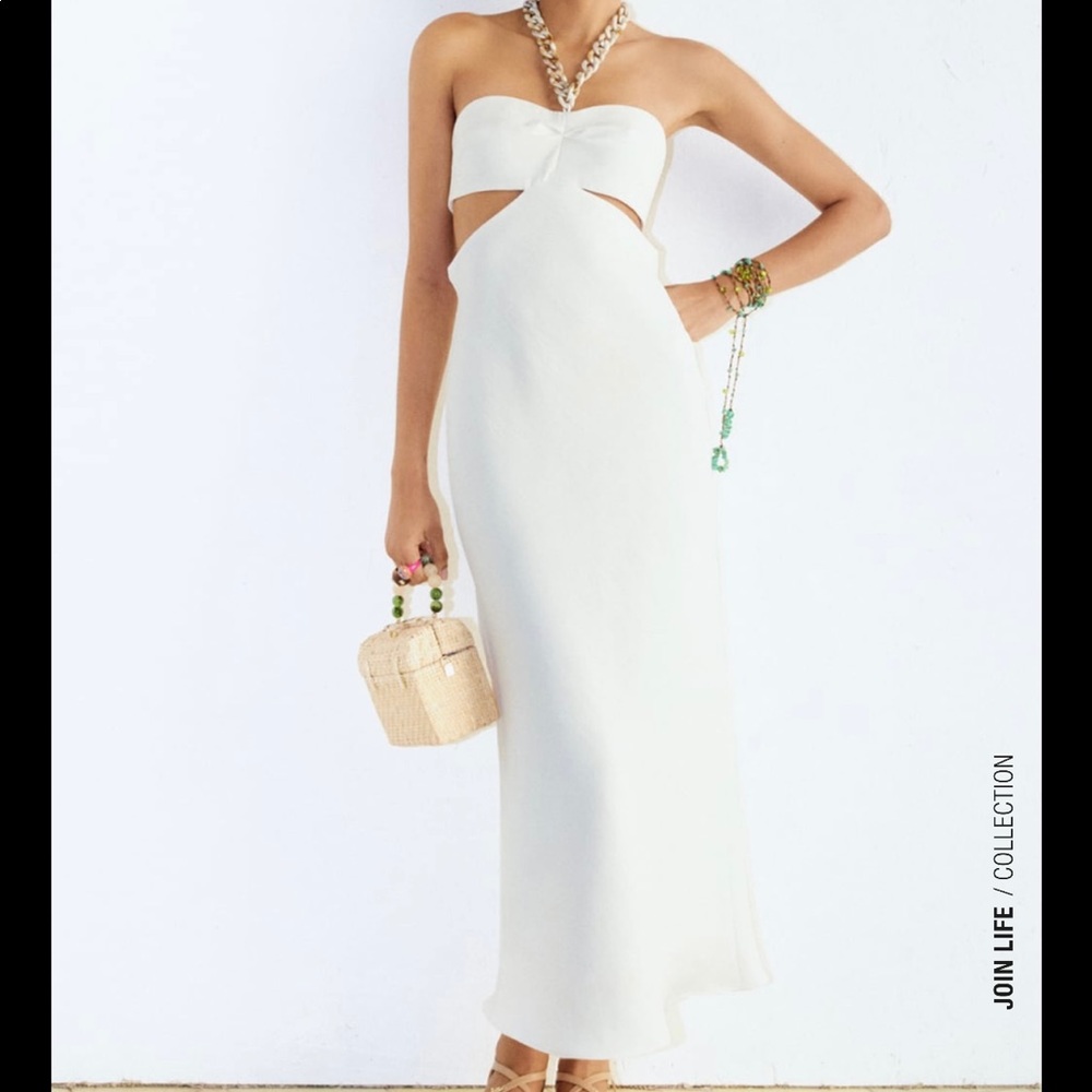 Zara dress